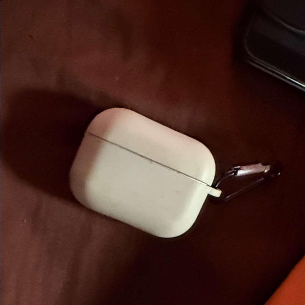 Apple Earbuds with Sky Blue Case Only!